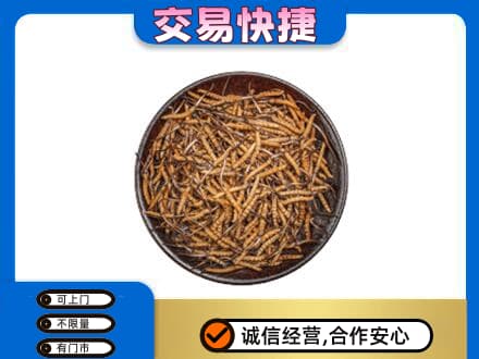 六安高价回收散虫草